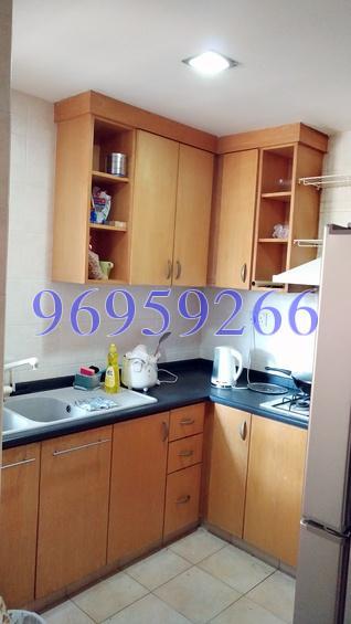 Tanglin View (D3), Condominium #163874462